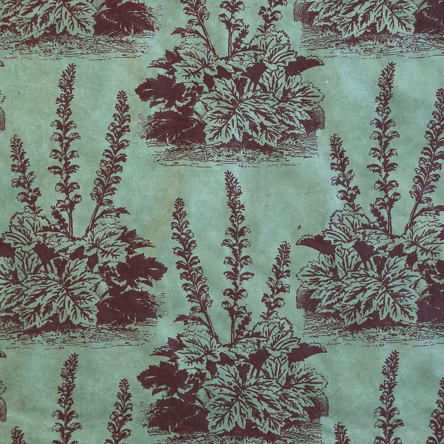 A Toile de Jouy style drawing of an agapanthus in aubergine screen-printed by hand on green lokta paper.