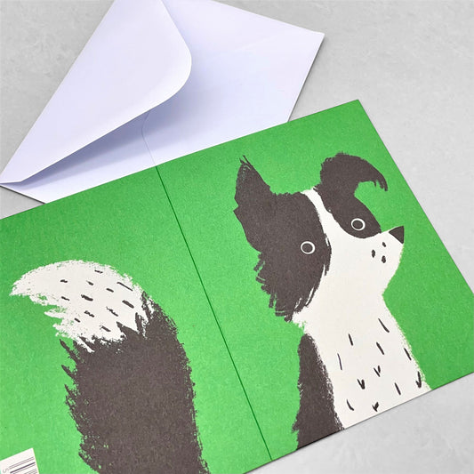 Small greeting card with a drawing of a black and white collie dog against a green background by Lisa Jones Studio