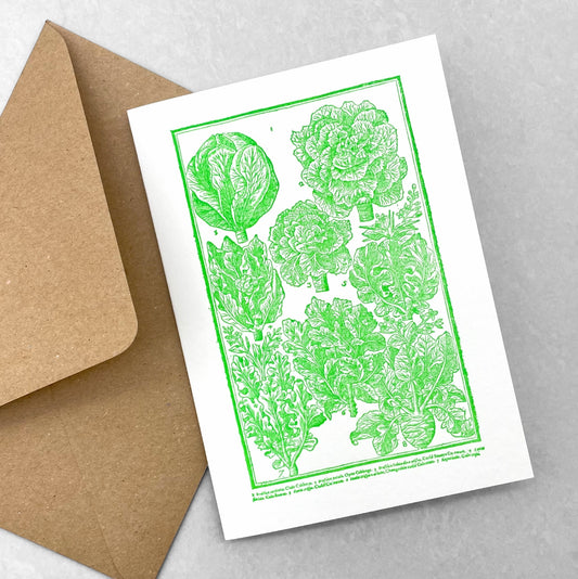letterpress greetings card of a drawing of different varieties of cabbages, green ink on white by Passenger Press