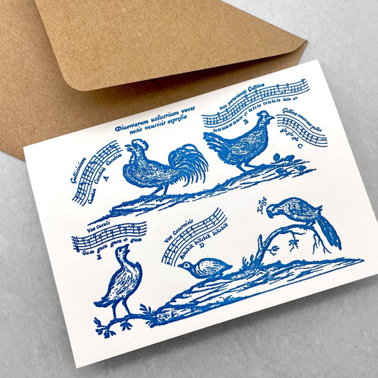 letterpress greetings card of a drawing of different song birds, blue ink on white by Passenger Press