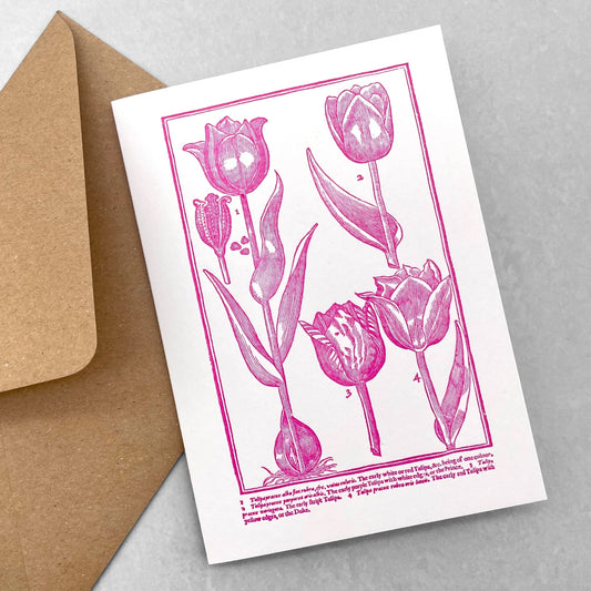 Branch Coral Print  Letterpress greeting cards, paper goods and