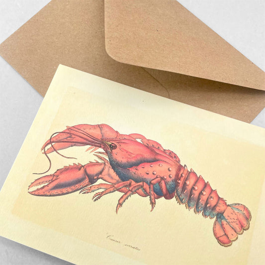 greetings card with an image of a lobster, by the pattern book