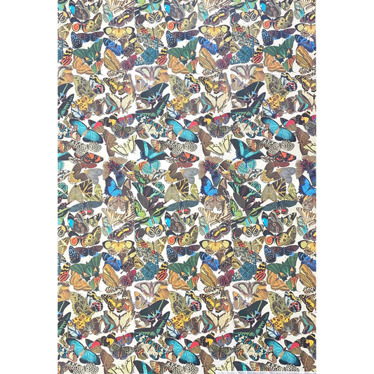 Poster wrap by The Pattern Book. This wrapping paper has an all-over butterfly design. Detailed illustrations of a wide variety of colourful butterflies. Full sheet pictured
