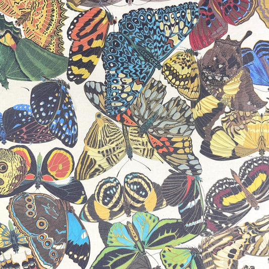 Poster wrap by The Pattern Book.  This wrapping paper has an all-over butterfly design.  Detailed illustrations of a wide variety of colourful butterflies
