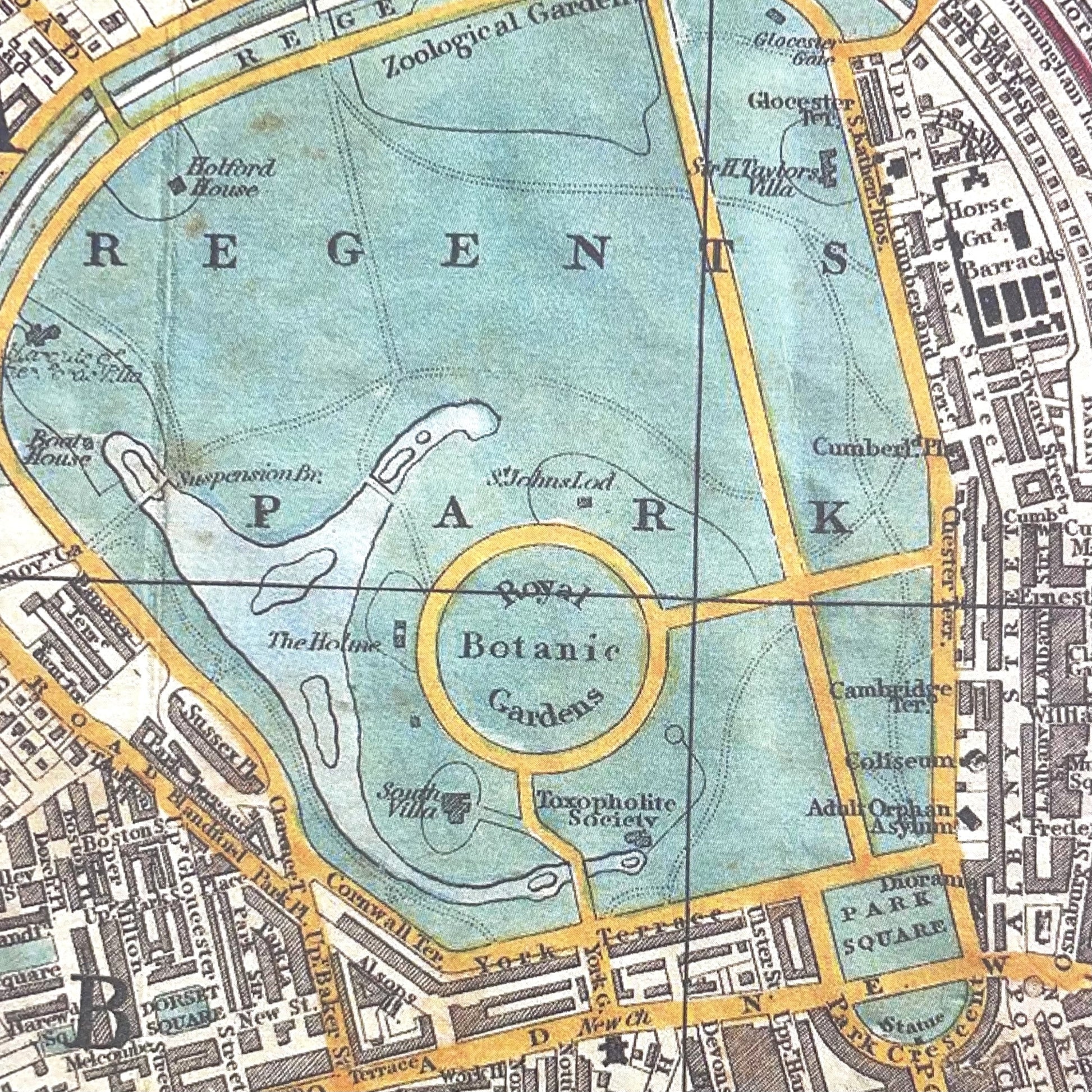 Wrapping paper with a vintage map of London (1848) by George Federick Cruchley. The map shows the proposed developments for London at this time and extends from Hyde Park in the west to the Docklands in the East, detail of Regents Park