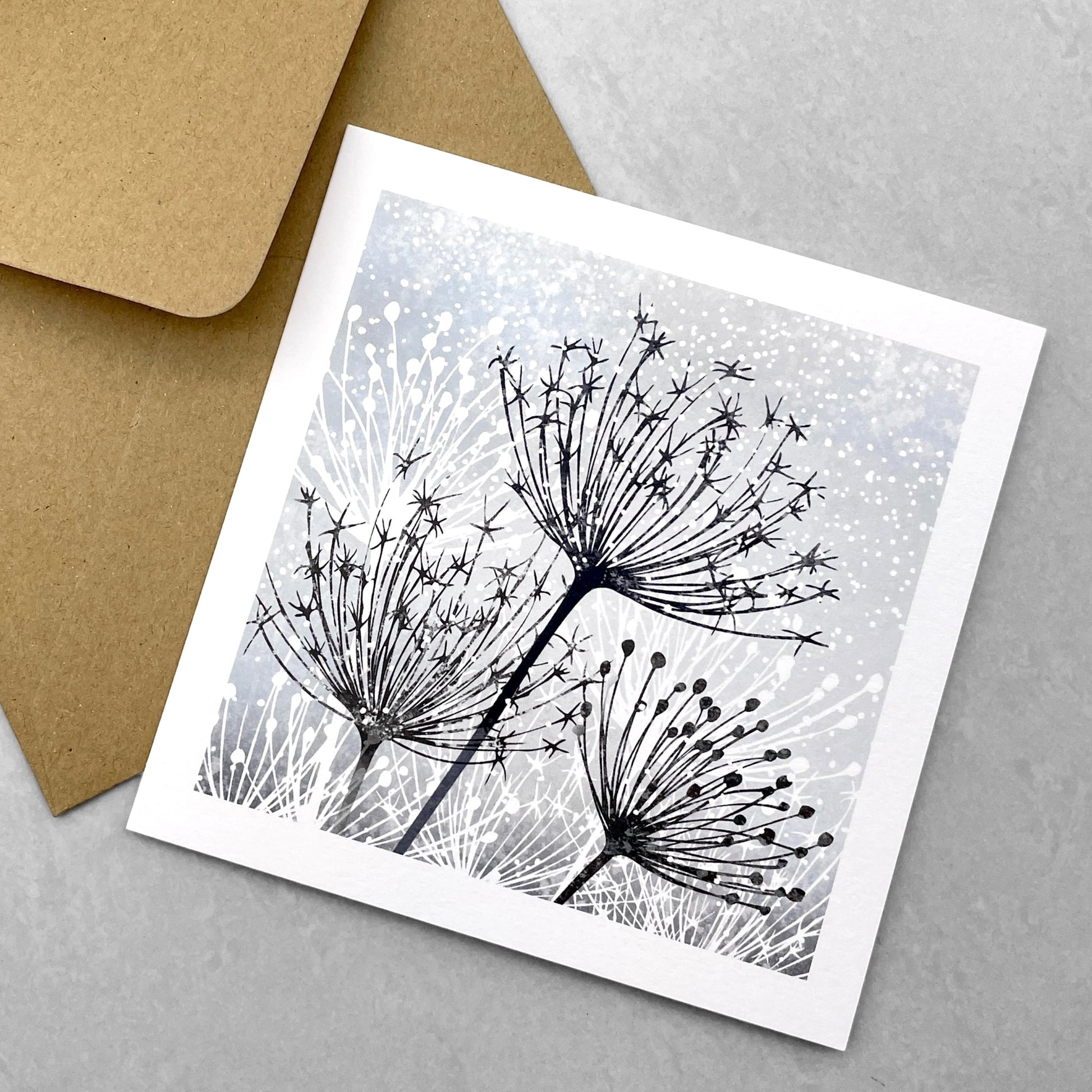 A greetings card of seed heads in the snow, part of a 4 card pack by Ruth Thorp studio