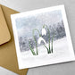 A greetings card of snowdrops in the snow, part of a 4 card pack by Ruth Thorp studio