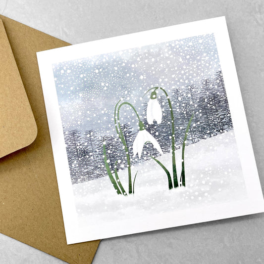 A greetings card of snowdrops in the snow, part of a 4 card pack by Ruth Thorp studio