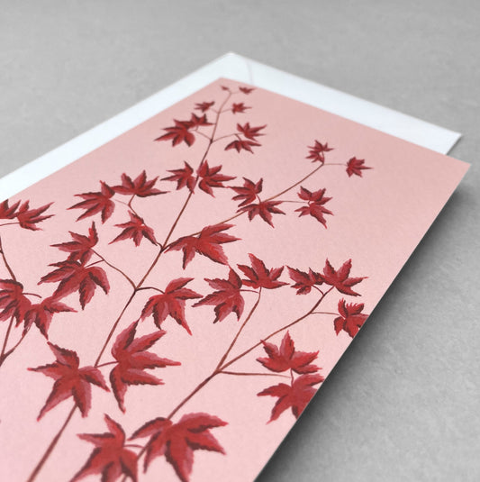 greetings card with botanical drawing of a red acer on blush pink backdrop by Stengun Drawings
