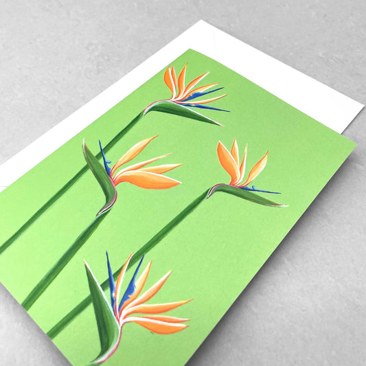 greetings card with botanical drawing of four yellow bird of paradise flowers with a bright green backdrop by Stengun drawings