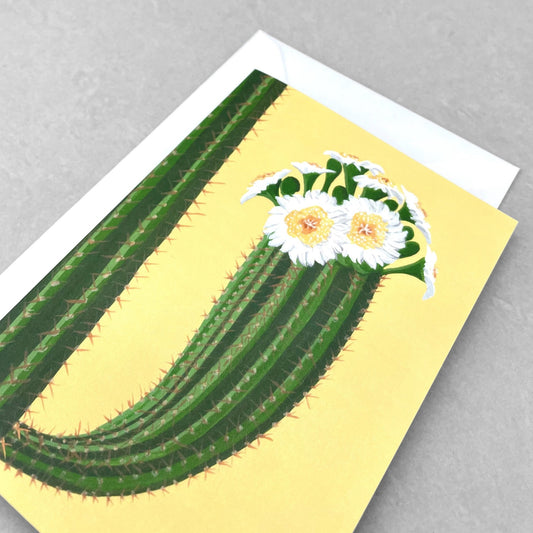 greetings card with botanical drawing of a cactus with white flowers with a yellow backdrop by Stengun Drawings