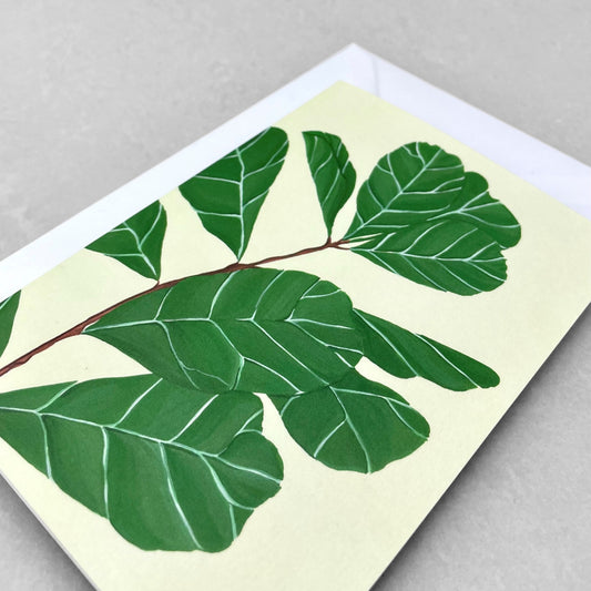 greetings card with botanical drawing of a green fiddle-leaf plant with pale lemon backdrop by Stengun Drawings