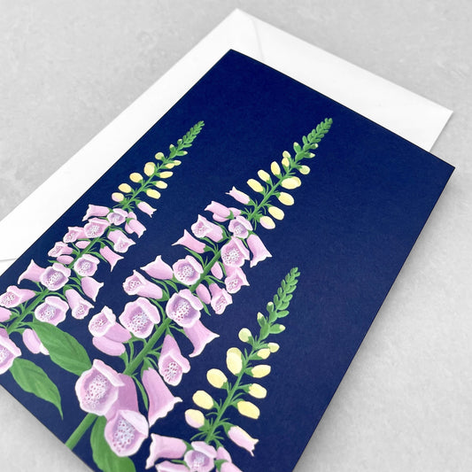 greetings card with botanical drawing of a pink foxglove with dark blue backdrop by Stengun Drawings