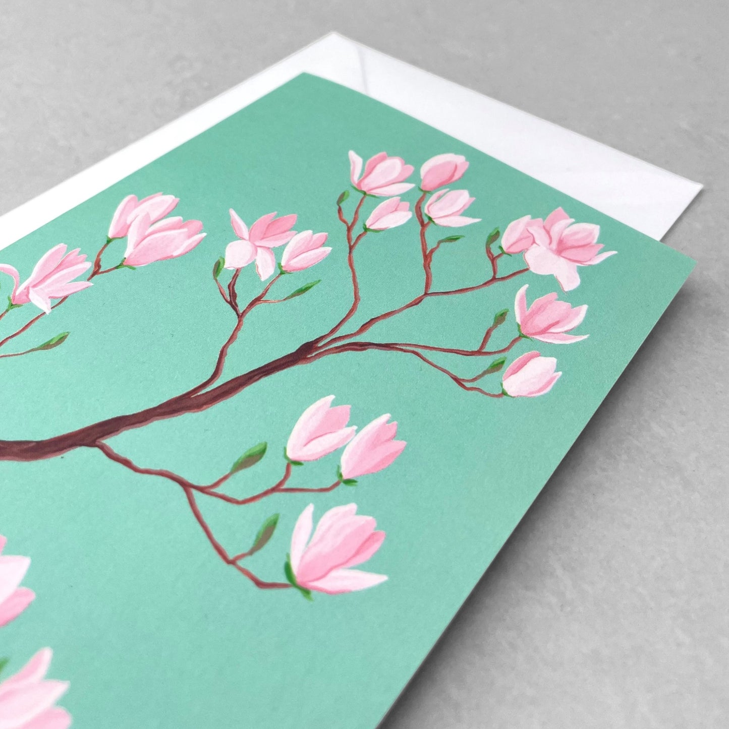 greetings card with botanical drawing of a branch of a pink blossom magnolia tree with aquamarine backdrop by Stengun Drawings