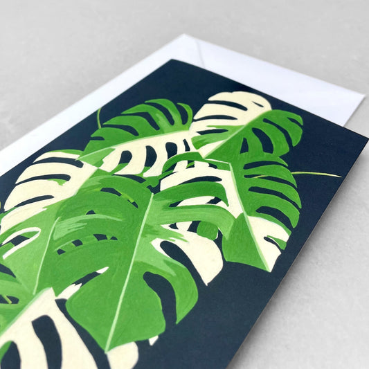 greetings card with botanical drawing of a green and cream leaf monstera plant with black backdrop by Stengun Drawings