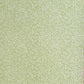 a sheet of italian wrapping paper with a delicate small floral design in light green and white
