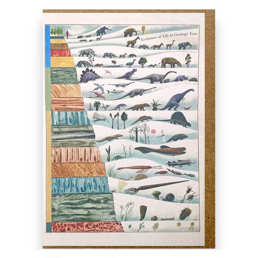 Greetings card by The Pattern Book with a drawing of the evolution of life in geological eras.