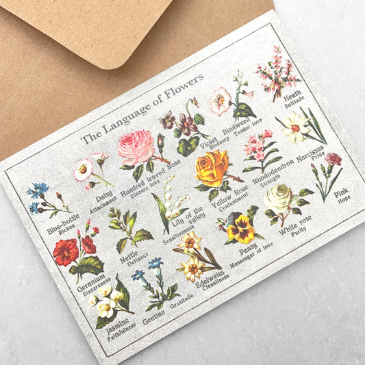 Greetings card by The Pattern Book that depicts drawings of flowers with their meanings. With envelope.