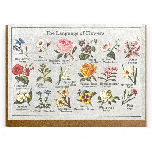 Greetings card by The Pattern Book that depicts drawings of flowers with their meanings.