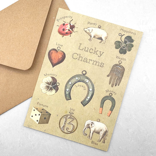 A greetings card by The Pattern Book with images of items that are considered a lucky charm and their meanings such as a horseshoe, no.13, a ladybird and clover. With Envelope