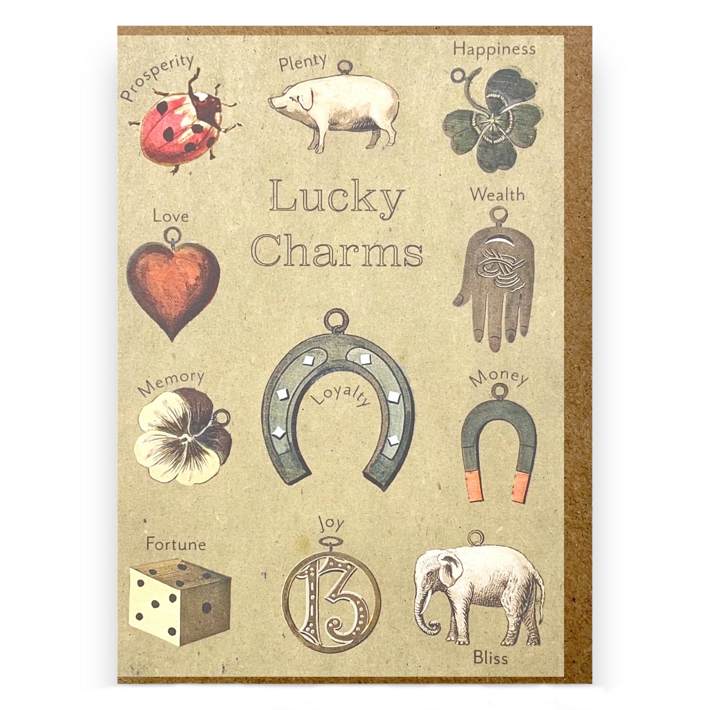 A greetings card by The Pattern Book with images of items that are considered a lucky charm and their meanings such as a horseshoe, no.13, a ladybird and clover.