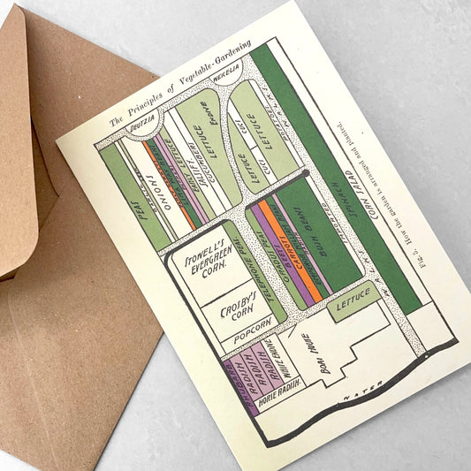 A greetings card with a drawing of the layout of where to plant vegetables in an urban garden/allotment. By The Pattern Book.  Pictured with envelope