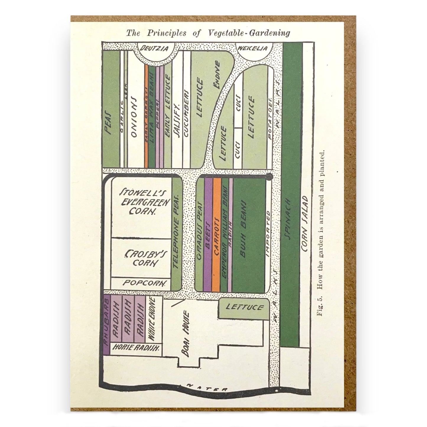 A greetings card with a drawing of the layout of where to plant vegetables in an urban garden/allotment.  By The Pattern Book 