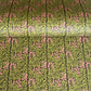 floral patterned wrapping paper in green and pink