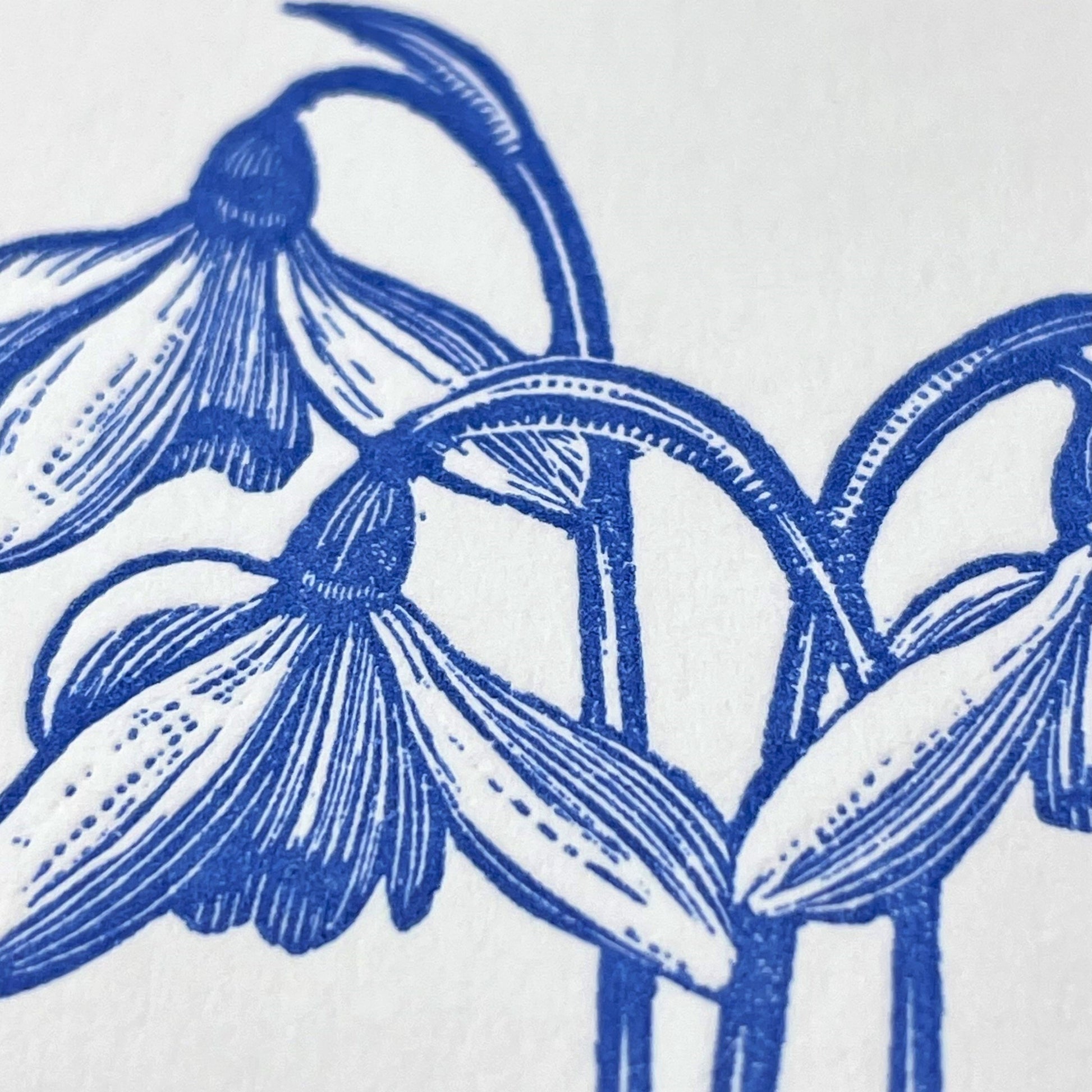 small greetings card of three blue snowdrops, close up of the card