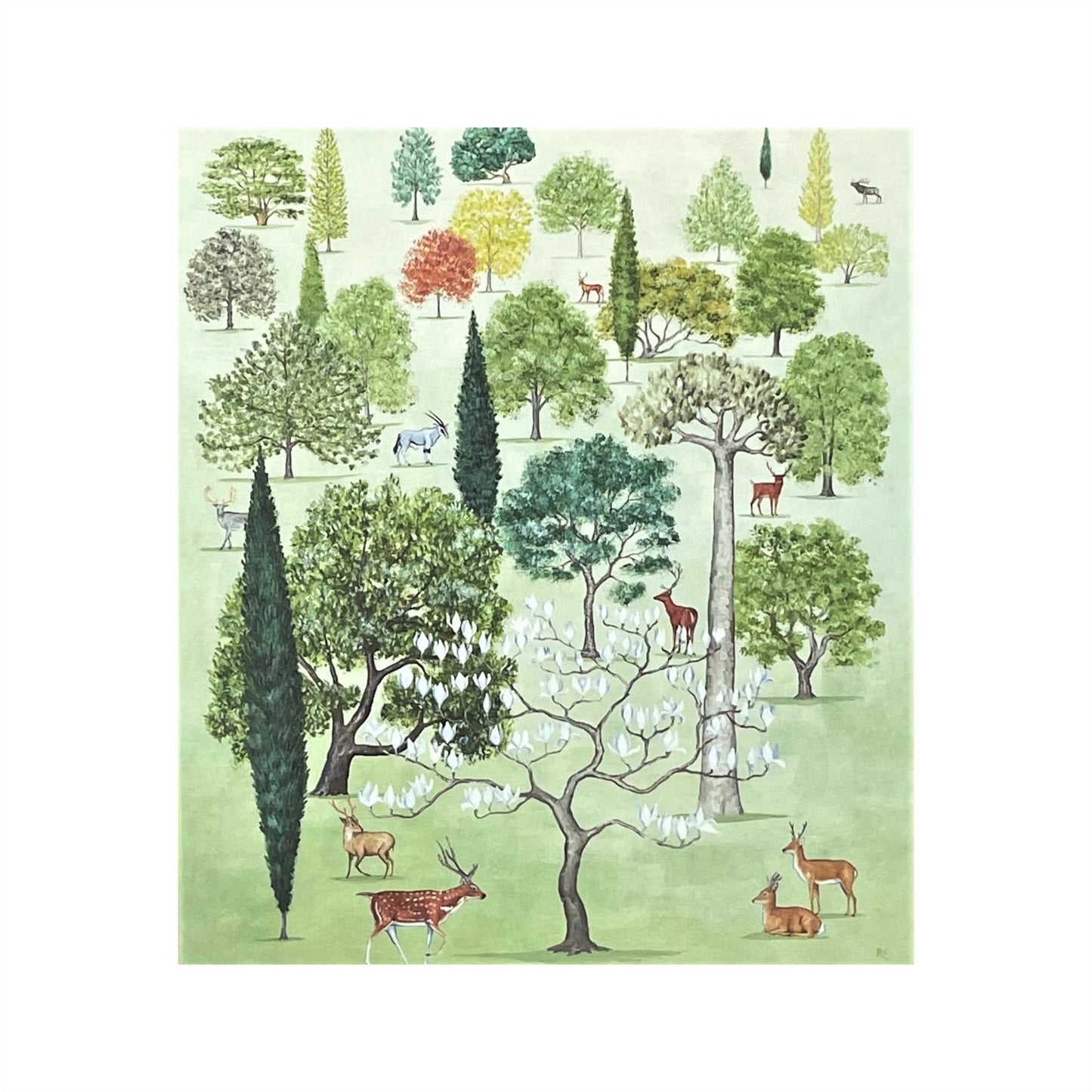 greetings card of an arboretum of trees by Canns Down Press