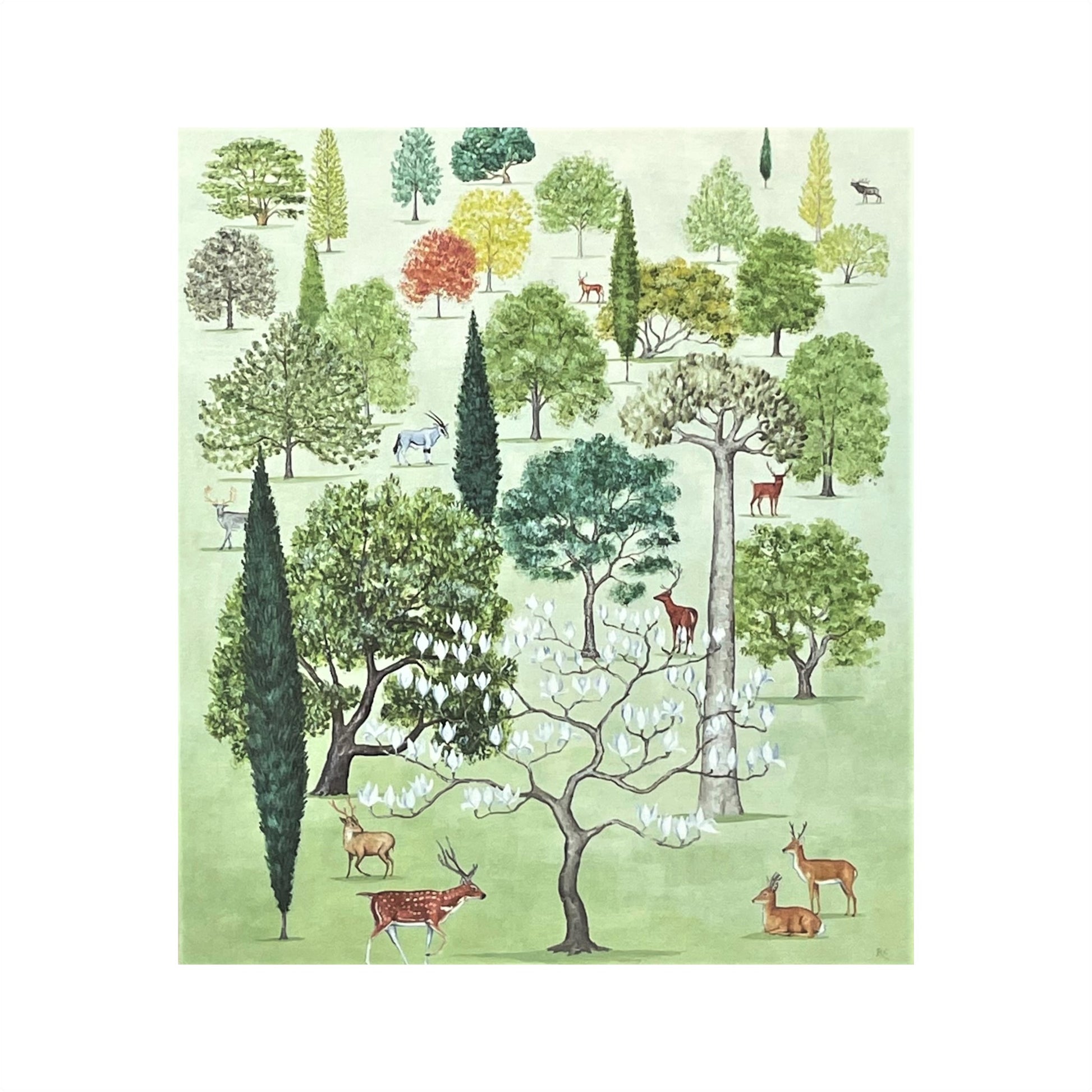 greetings card of an arboretum of trees by Canns Down Press