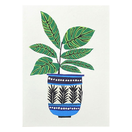 greetings card of a blue and white decorated pot and green plant by Canns Down Press
