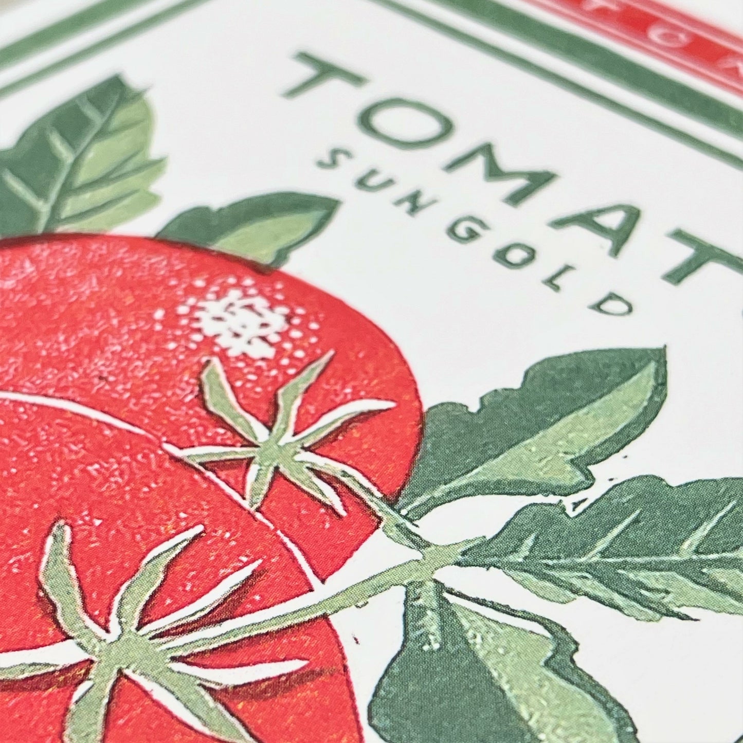 greetings card of a green and red vintage packet of tomato seeds, close up of the card