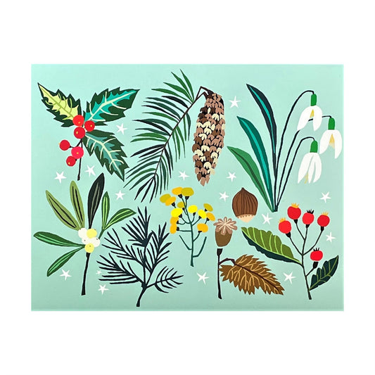 greetings card showing flowers and plants found in the winter by Canns Down Press