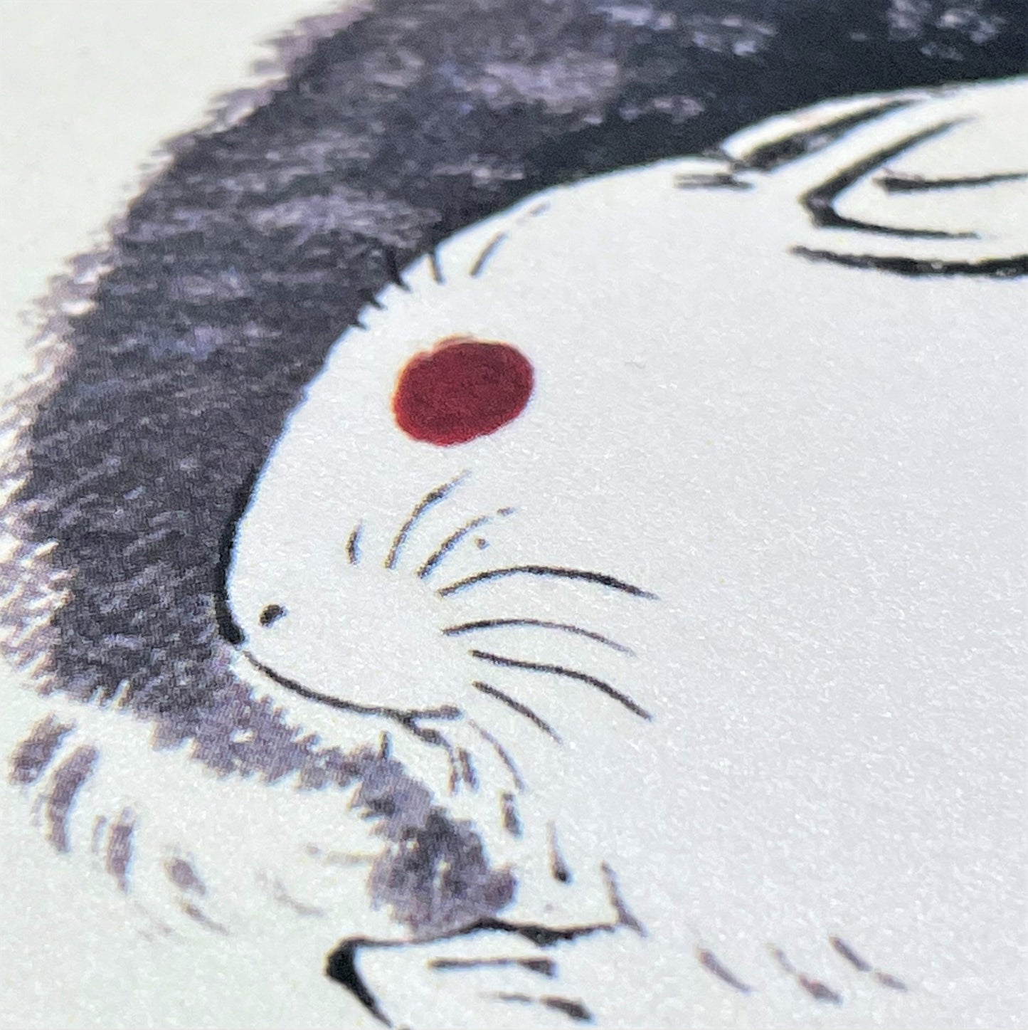greetings card showing a drawing of one black rabbit and one white rabbit sitting together, close up of the rabbit
