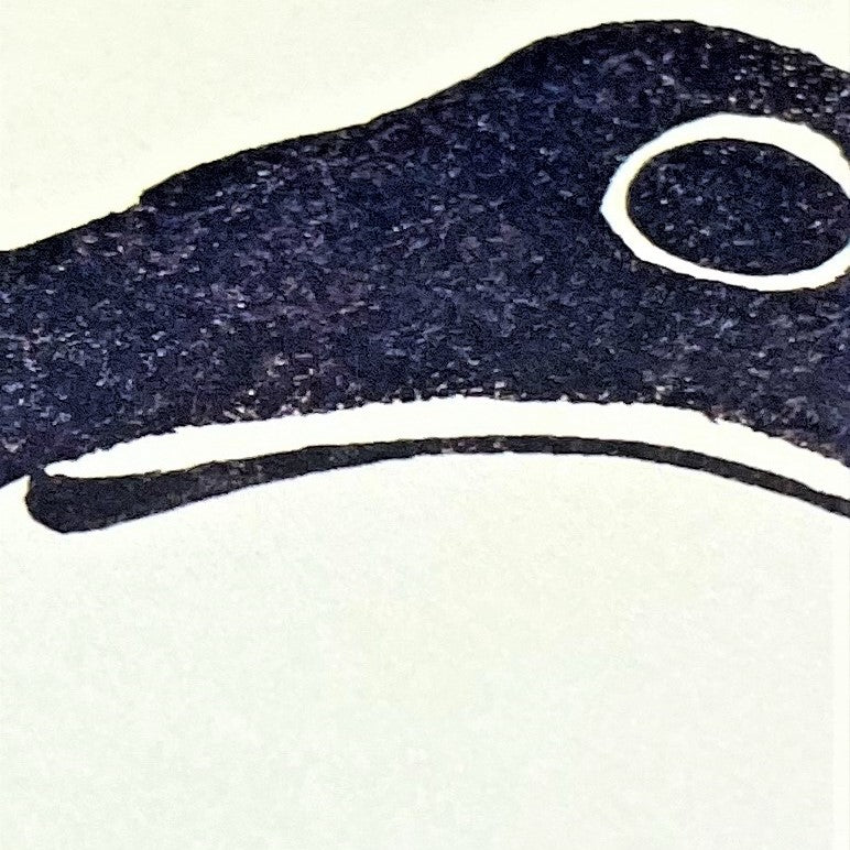 greetings card showing a black japanese frog, close up of the frog's eye