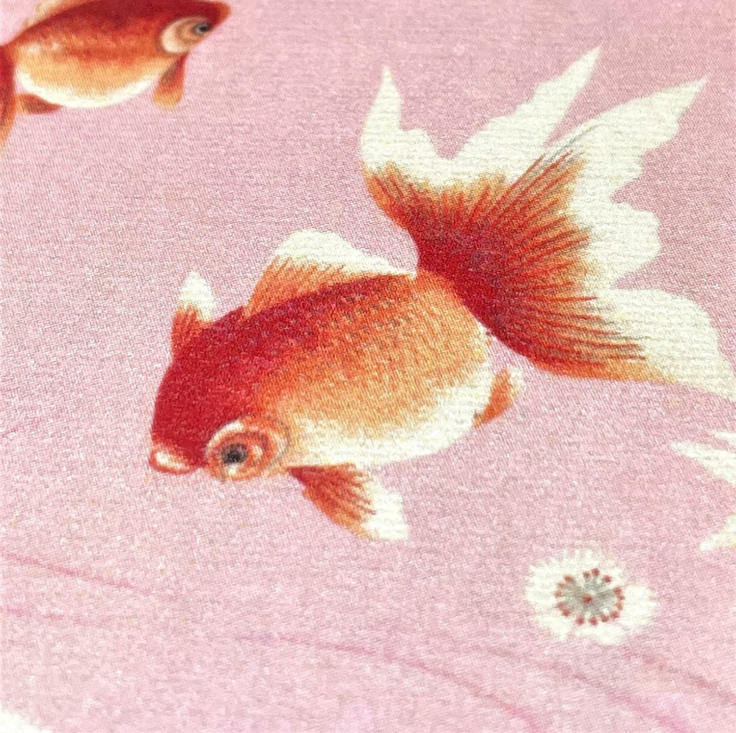 greetings card with repeat pattern of orange goldfish and pink backdrop, close up of a goldfish