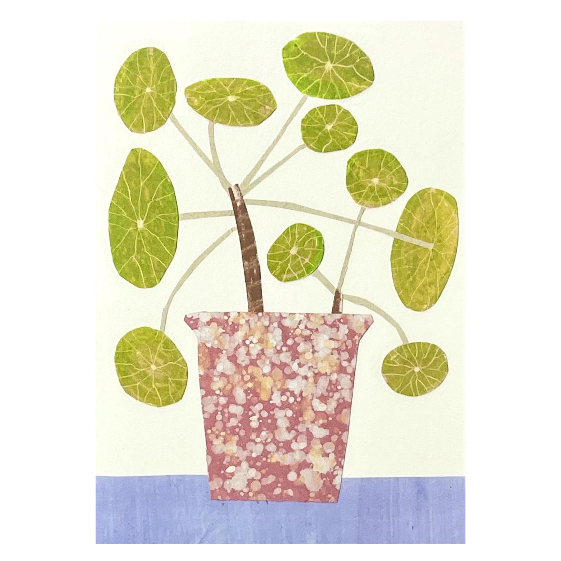 greetings card with pink plant pot and a chinese money plant by Hadley Paper goods