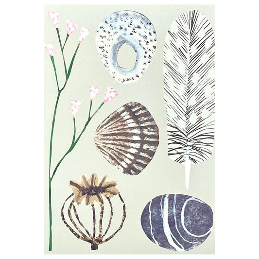 greetings card with drawings of a feather, pebble, seed head and shell by Hadley Paper Goods