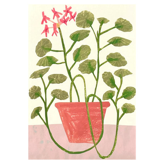 greetings card showing a drawing of a pink geranium in a terracotta pot by Hadley Paper Goods