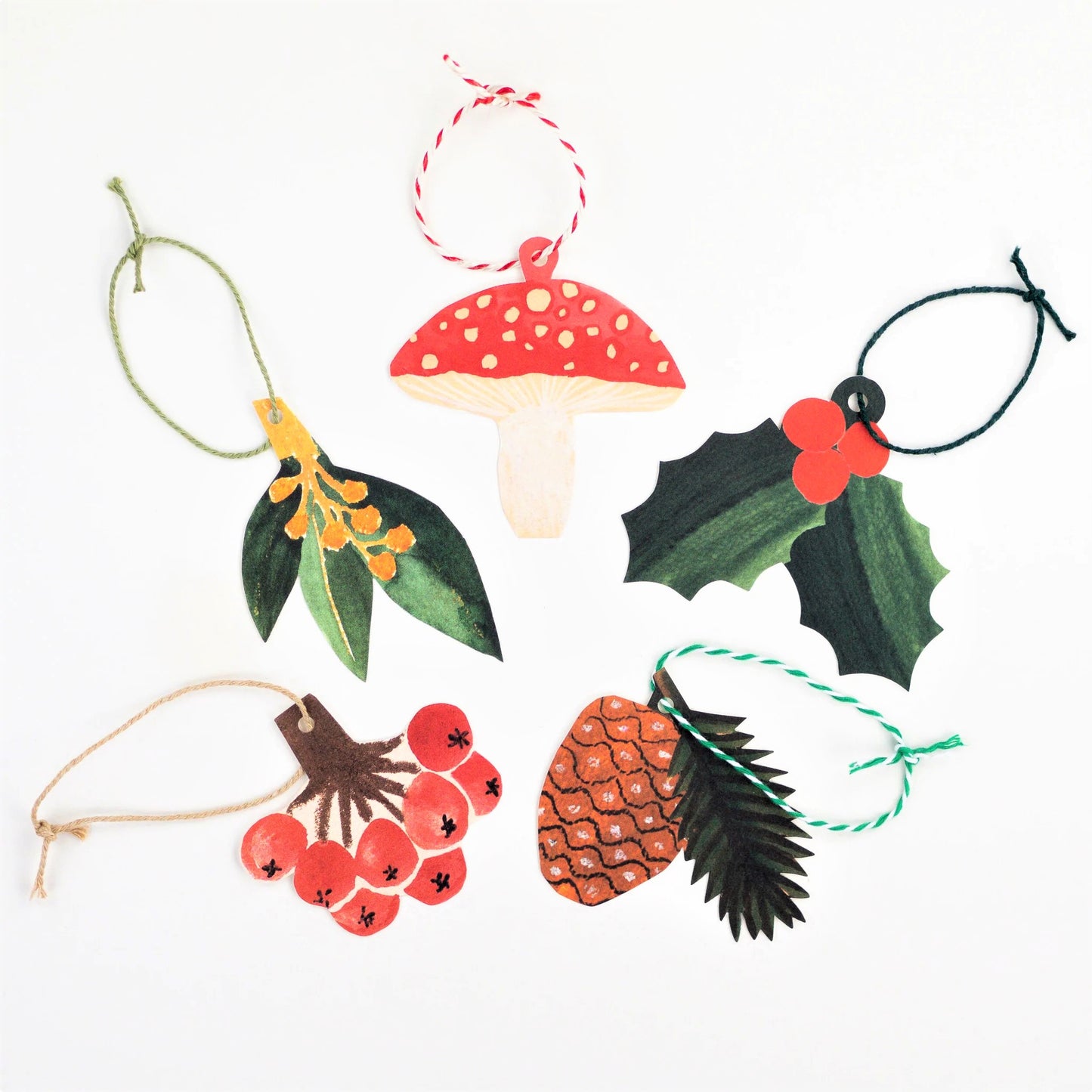 A set of five different festive plant gift tags in red, green and yellow with colourful sttring, by Hadley Paper Goods