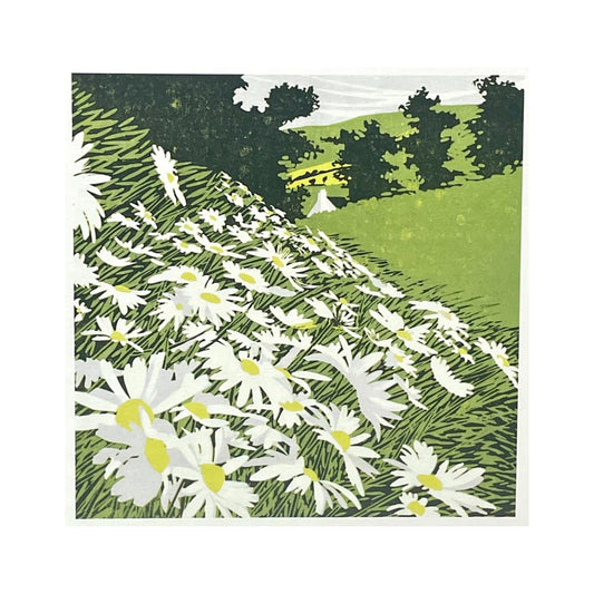 greetings card showing side of a hill covered in daisies by John Austin Publishing