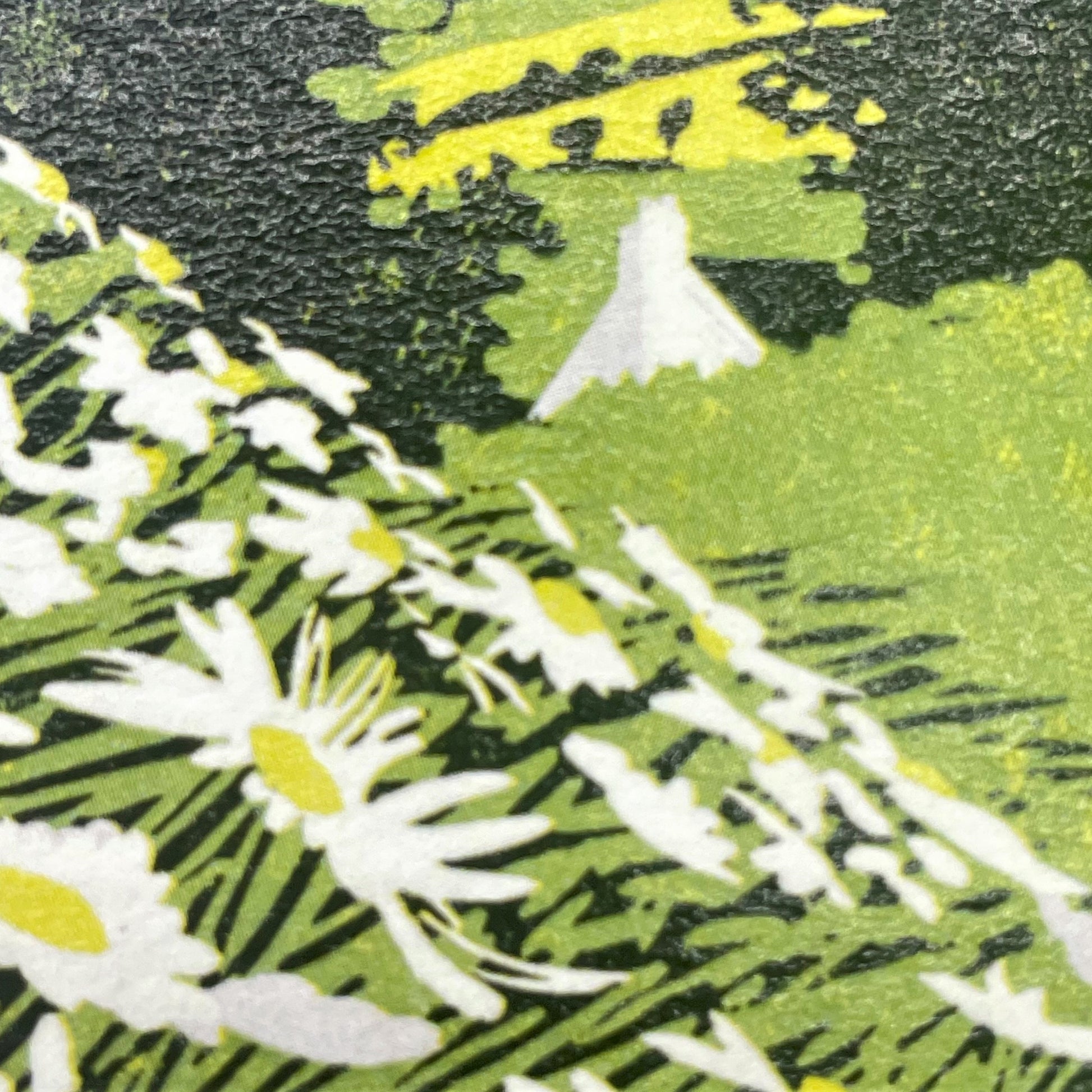greetings card showing side of a hill covered in daisies, close-up of the daisies