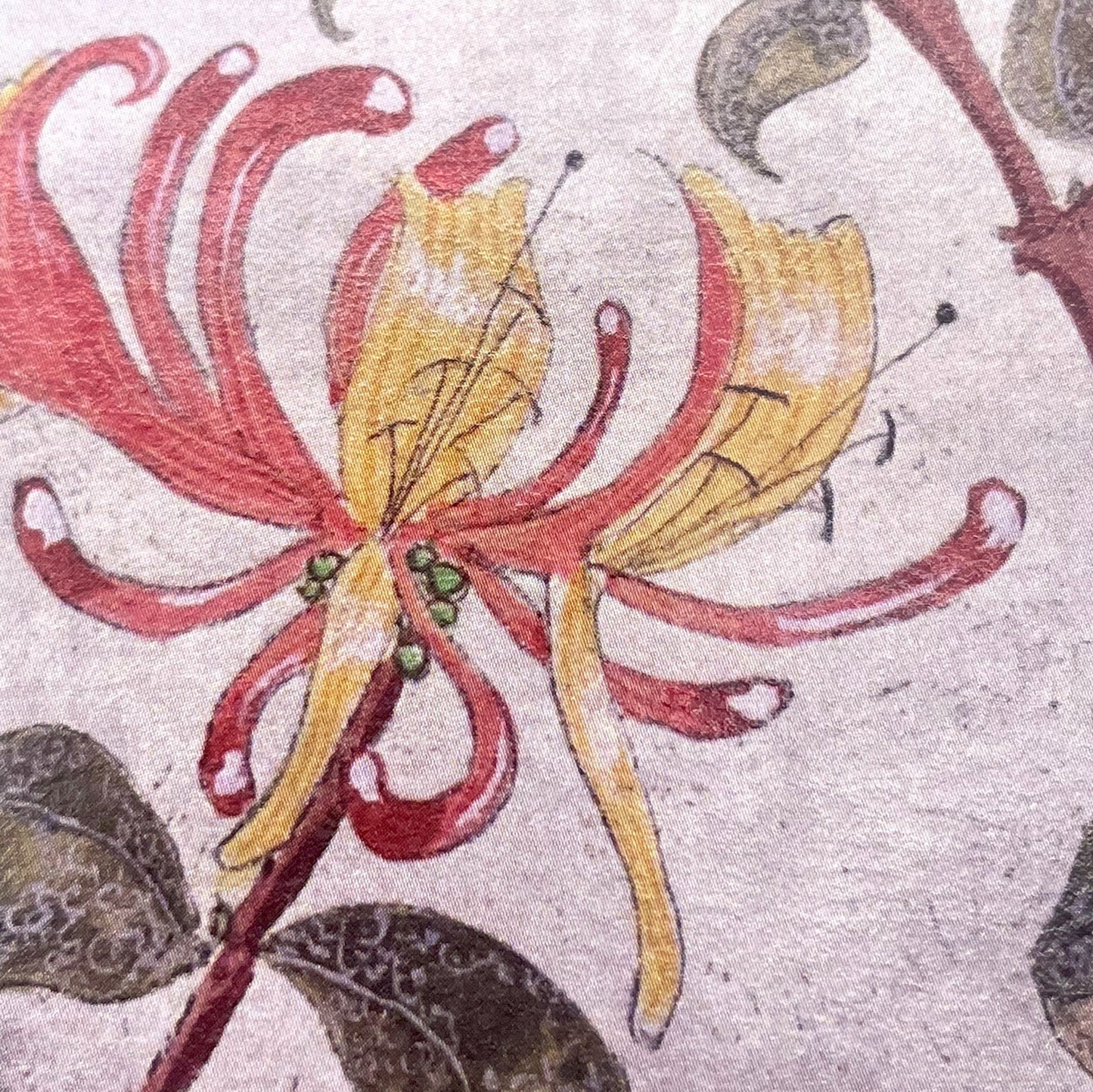 greetings card showing a painting of yellow and pink honeysuckle flowers, close-up of the flower