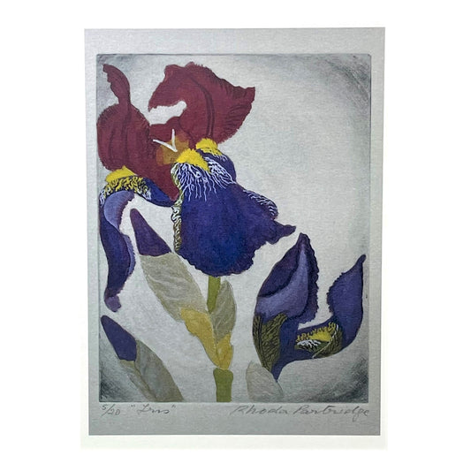 greetings card showing a painting of a purple and dark red iris by John Austin Publishing