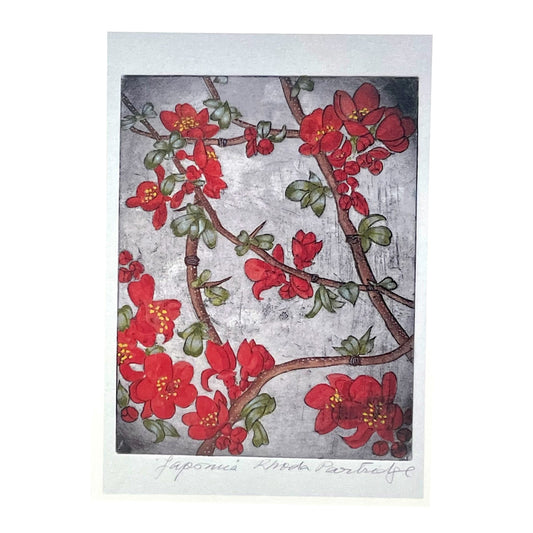 greetings card showing a drawing of red japonica flowers by John Austin Publishing