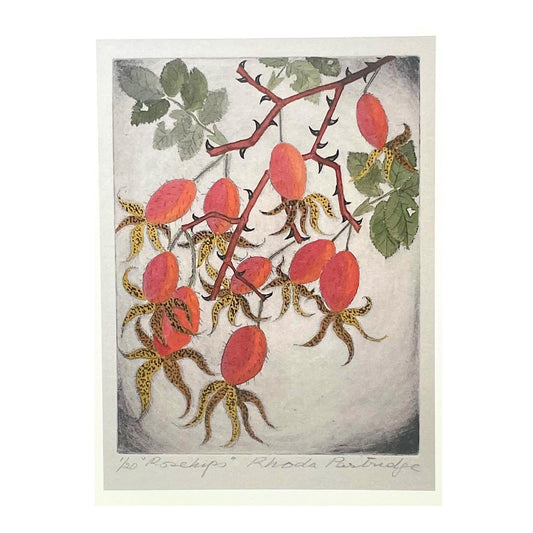 greetings card showing a drawing of red rose hips by John Austin Publishing