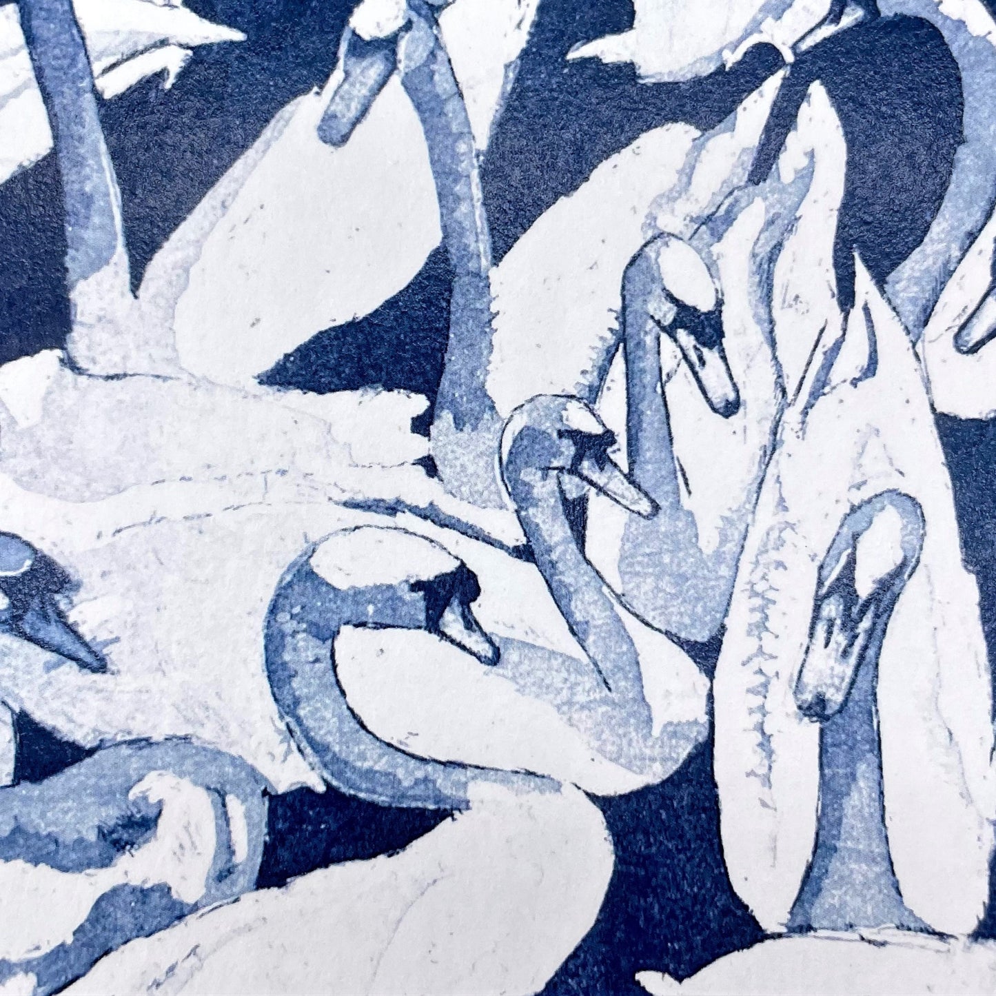 greetings card showing a group of swans in the water, close-up of the swans