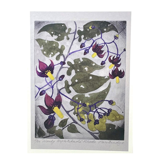 greetings card of a drawing of purple and yellow woody nightshade by John Austin Publishing