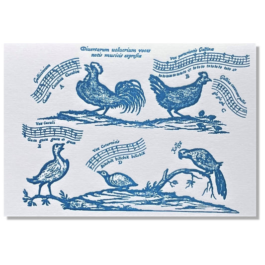 letterpress greetings card of a drawing of different song birds, blue ink on white by Passenger Press